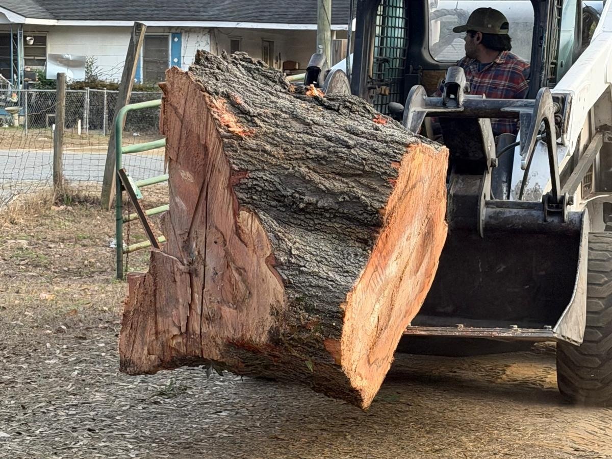 El Costeño Tree Service LLC